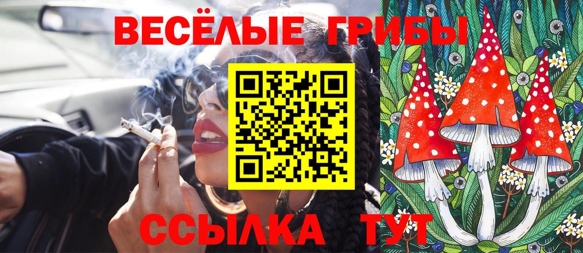 А ПВП Конаково